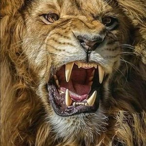 Meet your Posher, Lazaro